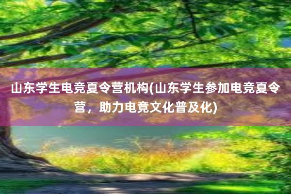 山东学生电竞夏令营机构(山东学生参加电竞夏令营，助力电竞文化普及化)