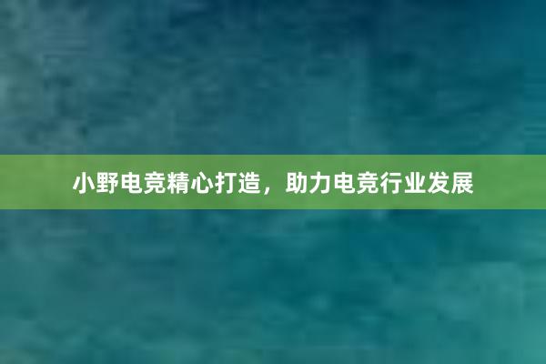 小野电竞精心打造，助力电竞行业发展